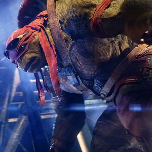 Photo Ninja Turtles