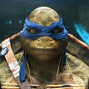 Photo Ninja Turtles