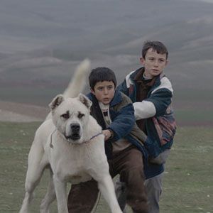Photo Sivas