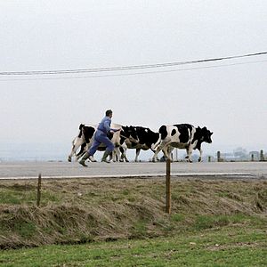 Photo Le Grand paysage d'Alexis Droeven