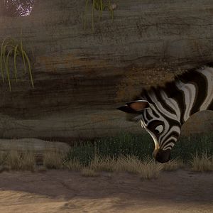 Photo Khumba