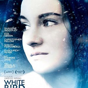 Photo White Bird
