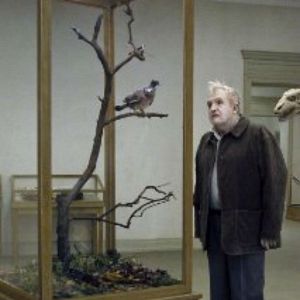 Photo Un pigeon perché sur une branche philosophait sur l’existence