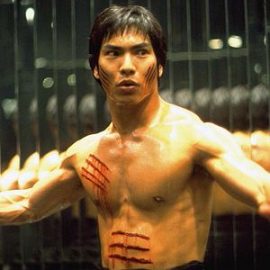 Photo Dragon, l'histoire de Bruce Lee