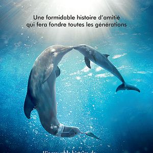 Photo L'Incroyable Histoire de Winter le dauphin 2