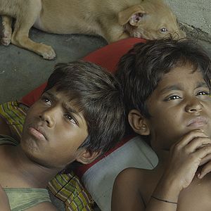 Photo Kaakka Muttai