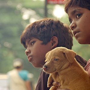 Photo Kaakka Muttai