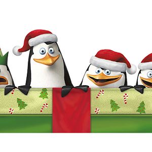 Photo Les Pingouins de Madagascar