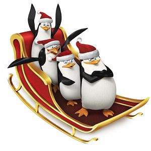 Photo Les Pingouins de Madagascar