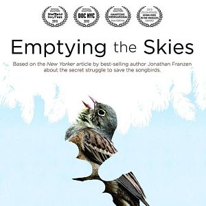 Photo Emptying the Skies