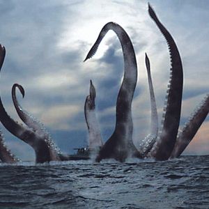 Photo Bermuda Tentacles