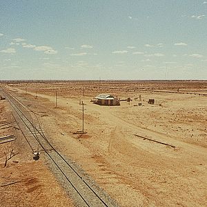 Photo Wake in Fright