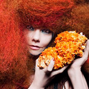 Photo Björk