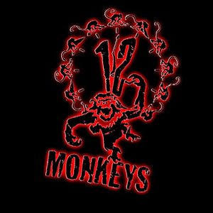 Photo 12 Monkeys