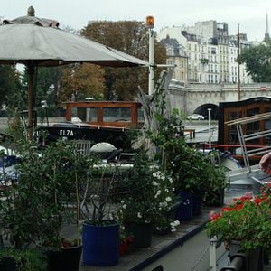 Photo Dominique Pinon