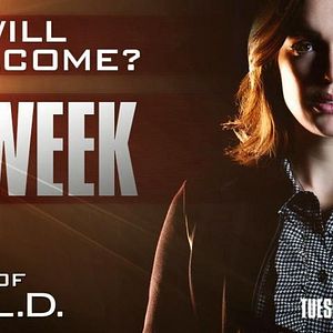 Photo Marvel : Les Agents du S.H.I.E.L.D.