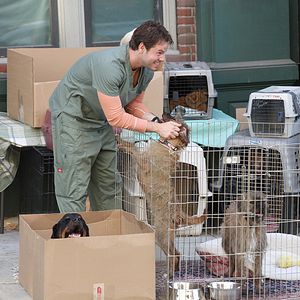 Photo Ike Barinholtz