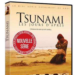 Photo Tsunami : Les jours d'après