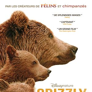 Photo Grizzly