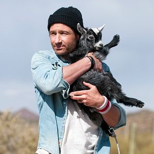 Photo David Duchovny