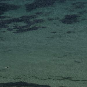 Photo Coast of Death