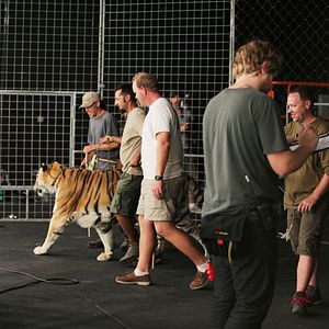 Photo ROAR – Les Tigres des Sunderbans