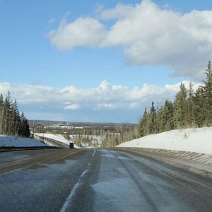 Photo Au cœur de la forêt du Sasquatch