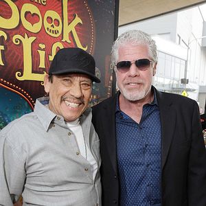 Photo Ron Perlman