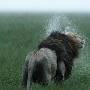 Photo Nature