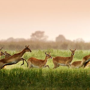 Photo Nature