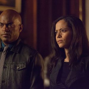 Photo Andrew Stewart-Jones