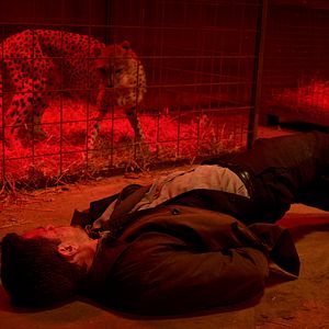 Photo Nikolaj Lie Kaas