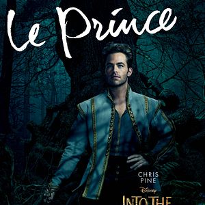Photo Into the Woods, Promenons-nous dans les bois