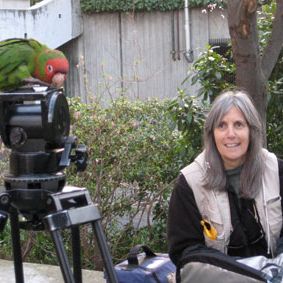 Photo Judy Irving