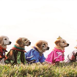 Photo Les Copains Super-Héros