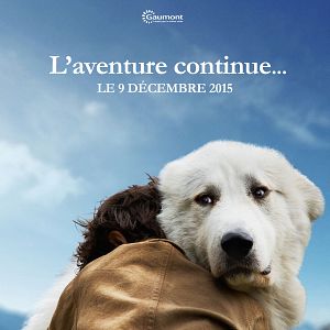 Photo Belle et Sébastien : L'aventure continue