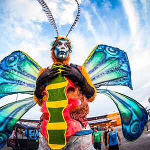 Photo EDC 2013: Under the Electric Sky