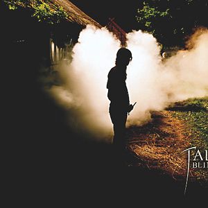 Photo Fireheart, la légende de Tadas Blinda