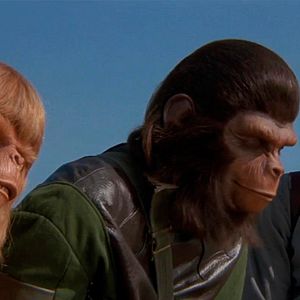 Photo La Bataille de la planète des singes