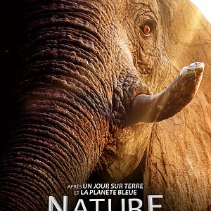 Photo Nature
