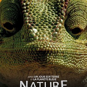 Photo Nature