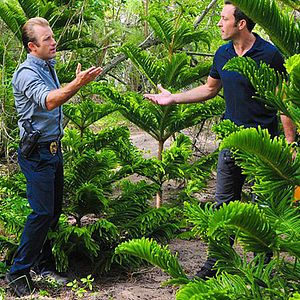 Photo Alex O'Loughlin