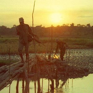 Photo Concerning Violence