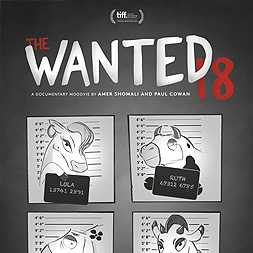 Photo Les 18 fugitives