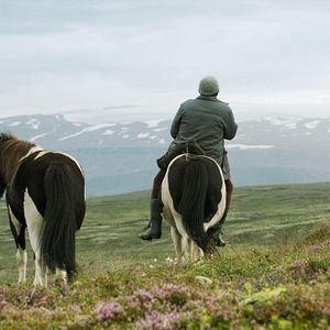 Photo Des chevaux et des hommes