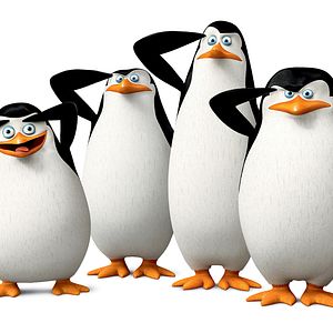 Photo Les Pingouins de Madagascar