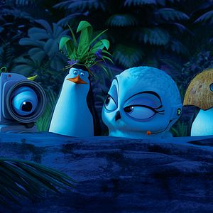 Photo Les Pingouins de Madagascar