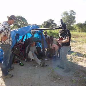 Photo African Safari 3D