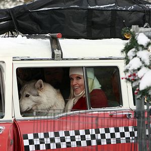 Photo Jenny McCarthy