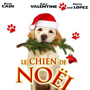 Photo Le Chien qui a sauvé Noël
